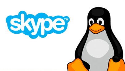 skype for linux logo