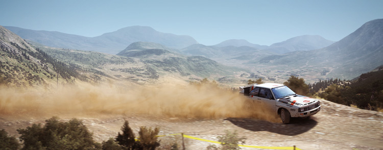 dirt rally linux screenshot