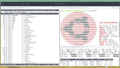 tilix emulator on ubuntu