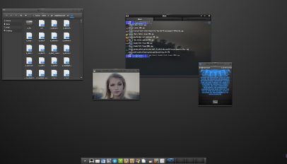 enlightenment E22 desktop screenshot