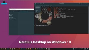nautilus desktop on windows 10 via WSL