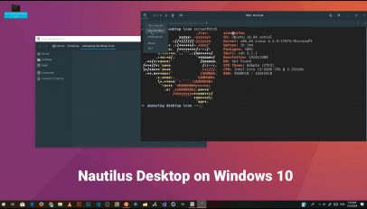 nautilus desktop on windows 10 via WSL