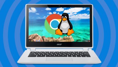 run linux apps on a chromebook possibly