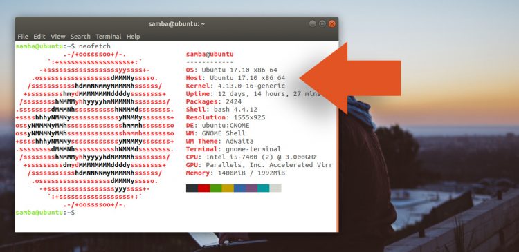 Neofetch running on ubuntu neofetch system info tool showing kernel version number