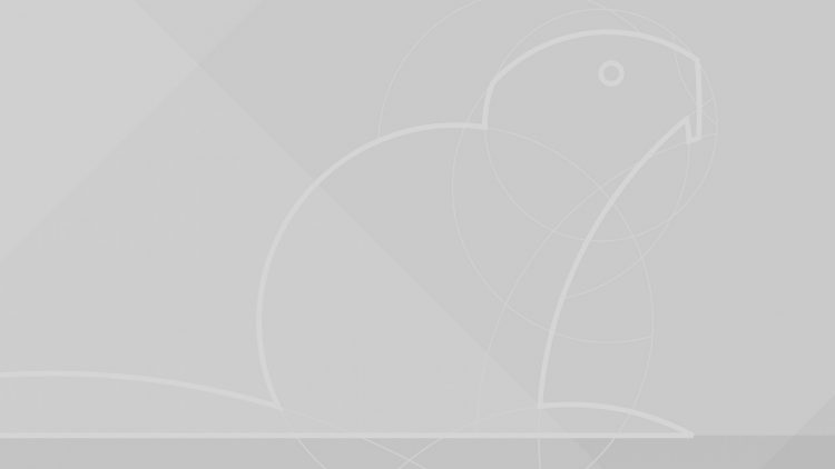 Ubuntu 18.04 LTS Wallpaper b&w