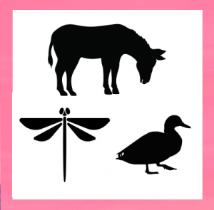 animals that start with d