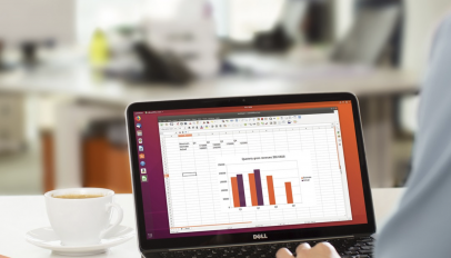 ubuntu user statistics