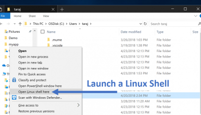 Linux Shell option in WSL file explorer