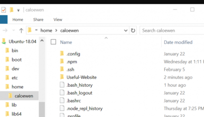 windows subsystem for linux file explorer