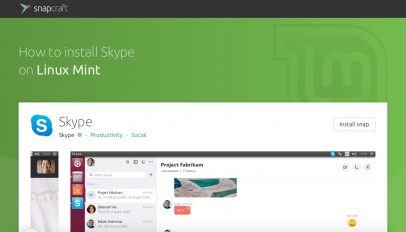 Snap store linux mint page