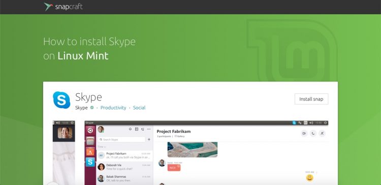 Snap store linux mint page