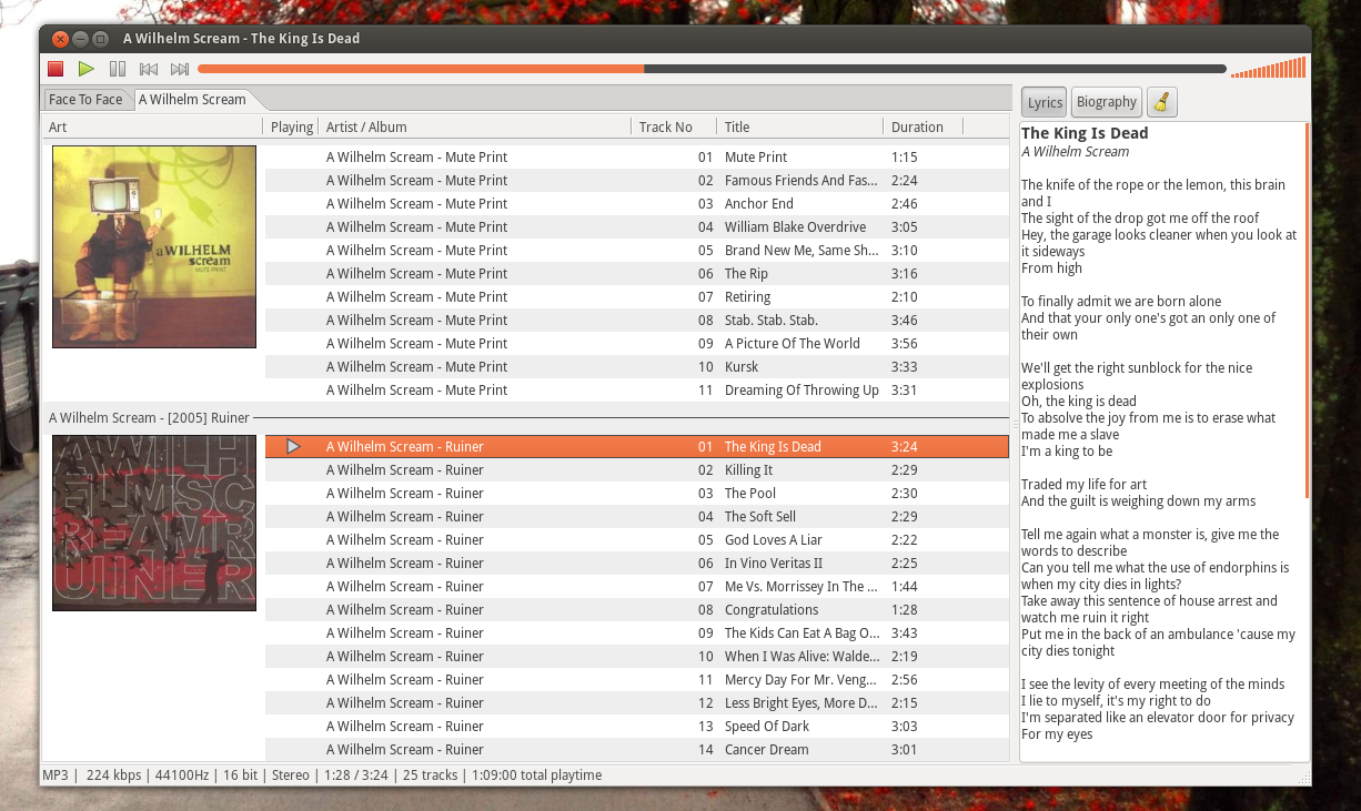 deadbeef screenshot 2