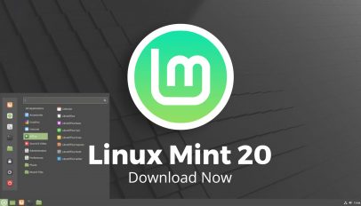 linux mint 20