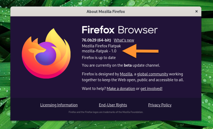 firefox flatpak app