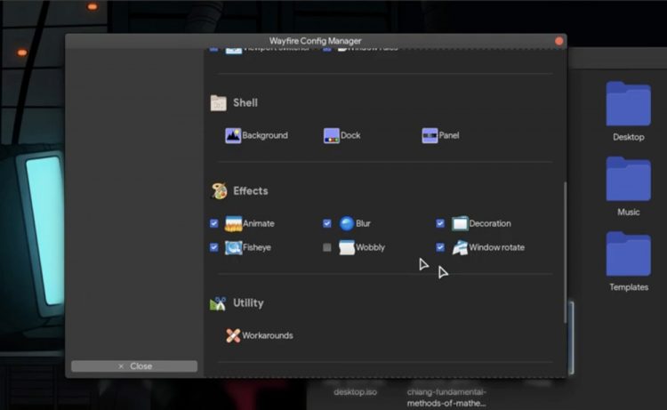 Wayfire Config Options