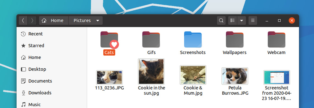 different colour folders