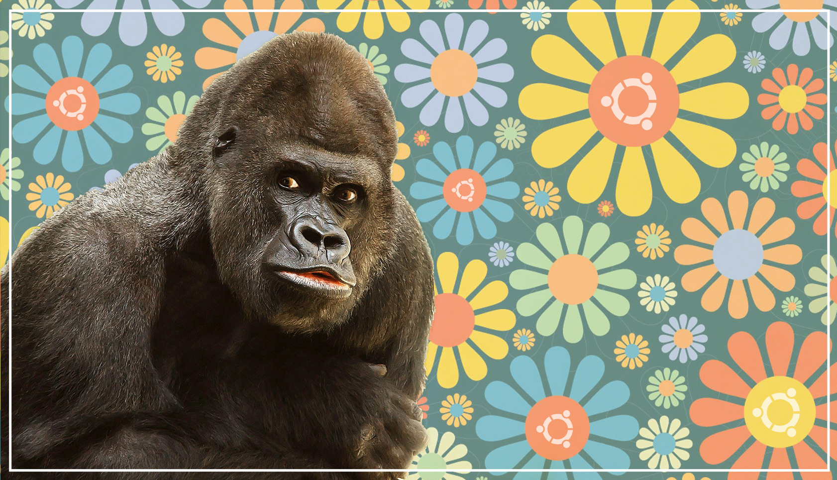 a Groovy Gorilla