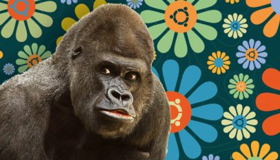 Groovy Gorilla