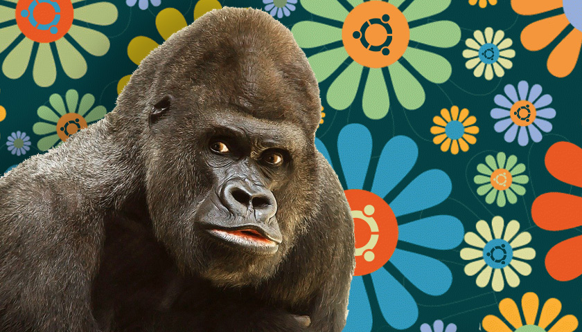 Groovy Gorilla
