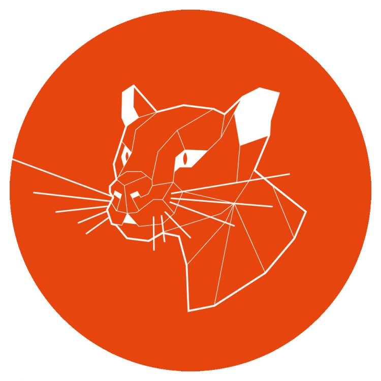 Ubuntu 20.04 logo