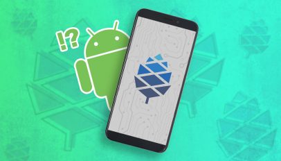 Android on the PinePhone