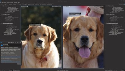 digikam 7.0 face detection