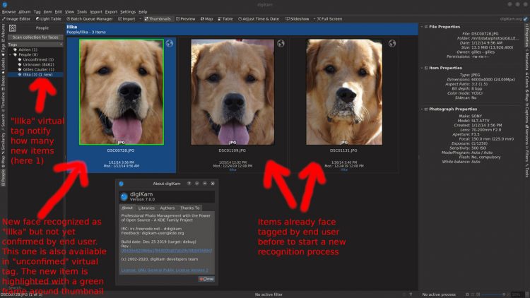 Digikam face detection working on a dog