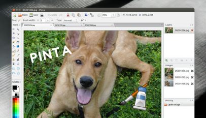 pinta 1.7 thumbnail