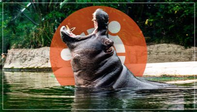 hippo and ubuntu logo