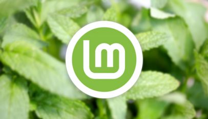 Linux Mint logo.