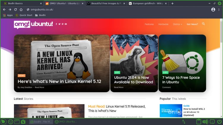 Bodhi Linux 6.0: Chromium