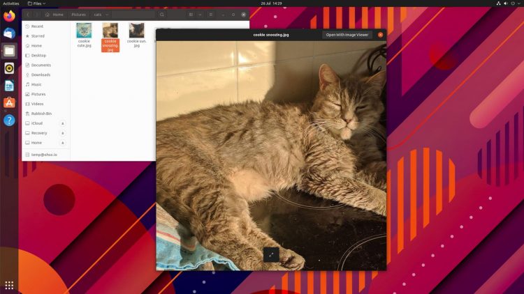 a screenshot of GNOME Sushi file preview displaying a photo on the ubuntu desktop