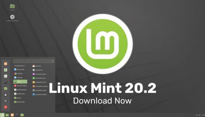 linux mint 20.2 release image