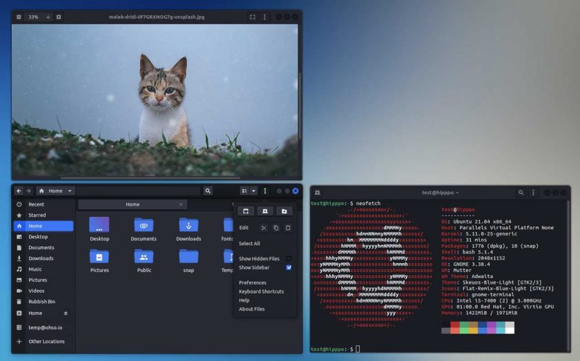 a screenshot of the skeuos gtk theme dark variant in three different apps