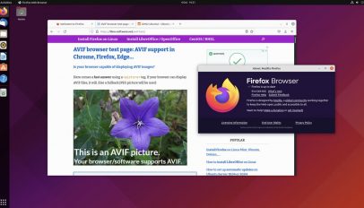 a screenshot of Firefox 93 showing an AVIF image successfully loaded