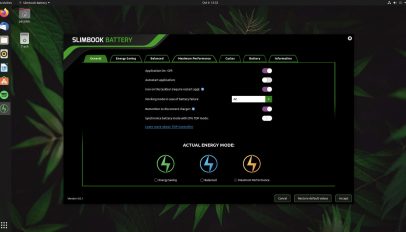 screenshot of slim book battery 4 on ubuntu 20.04