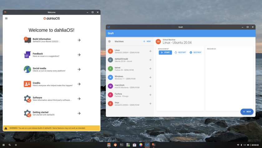 a screenshot of dahlia OS graft container manager app written in Flutter