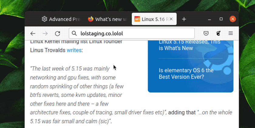 an animated gif of Firefox's GTK overlay scrollbars