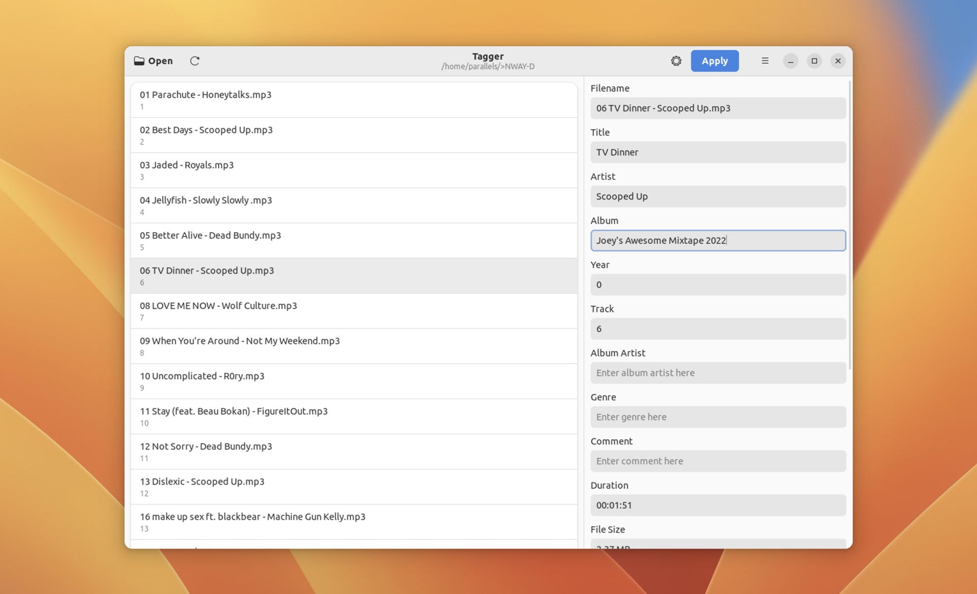 screenshot of tagger gtk audio tag editing tool