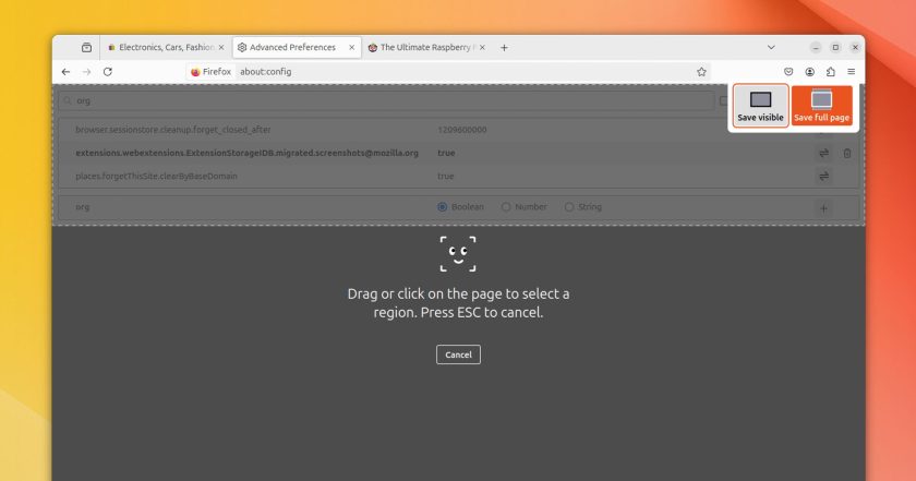 Screenshot of the Firefox screenshot tool taking a visible screenshot of an internal about page