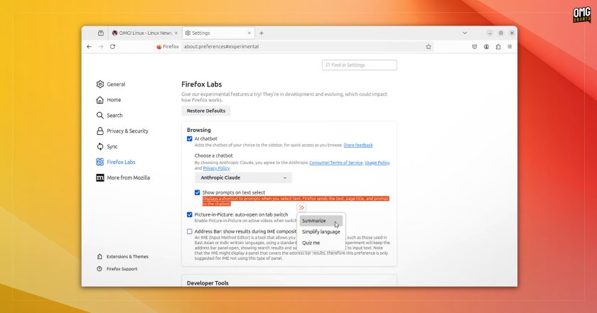 Firefox 130 Firefox Labs Settings page