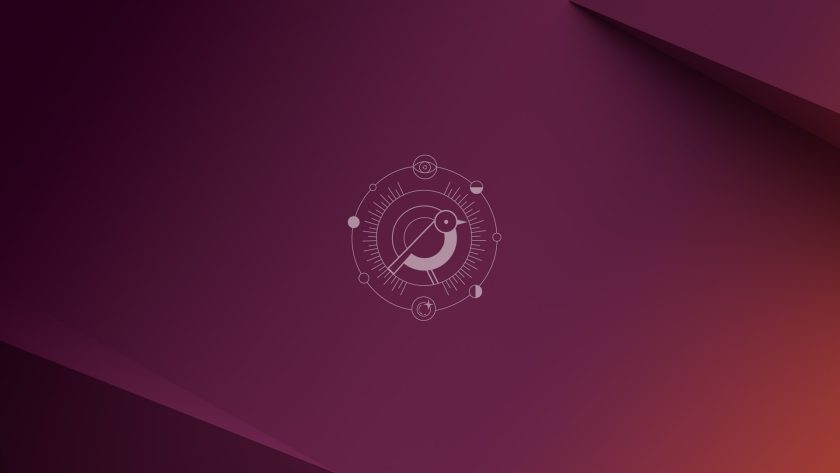 Ubuntu 24.10 Oracular Oriole wallpaper 