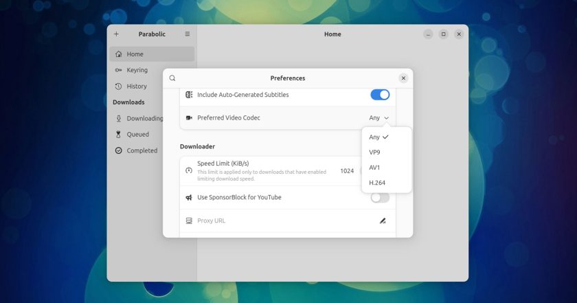 New option: set your preferred video codec