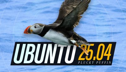 Ubuntu 25.04 Plucky Puffin