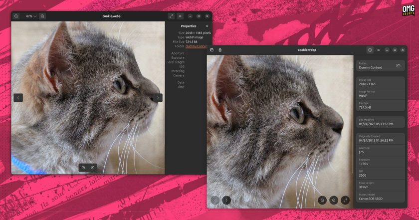 Eye of GNOME image viewer and Loupe Image viewer apps for Linux side by side showing image file metadata/properties