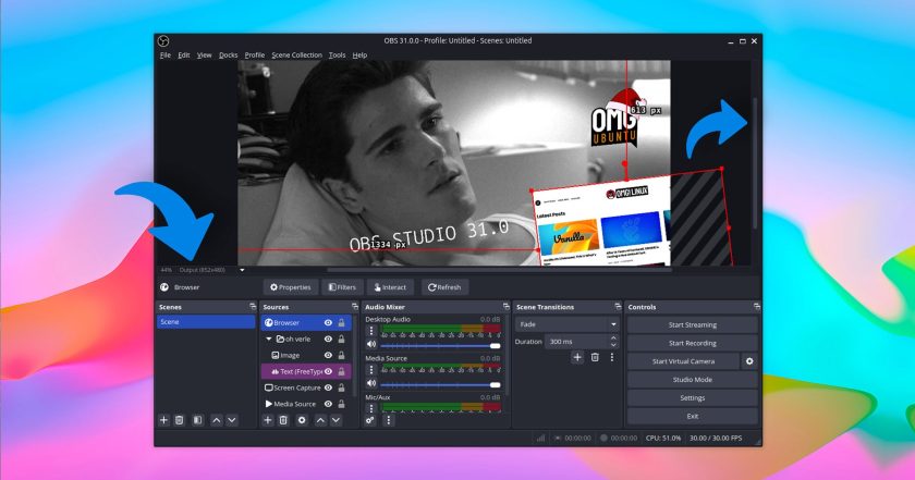OBS Studio 31.0 showing scrollbars and scale info for scene preview
