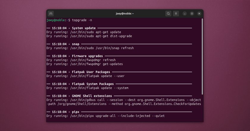 Terminal app on Ubuntu desktop shows the output of the topgrade -n command, listing various package manager sources being checked.