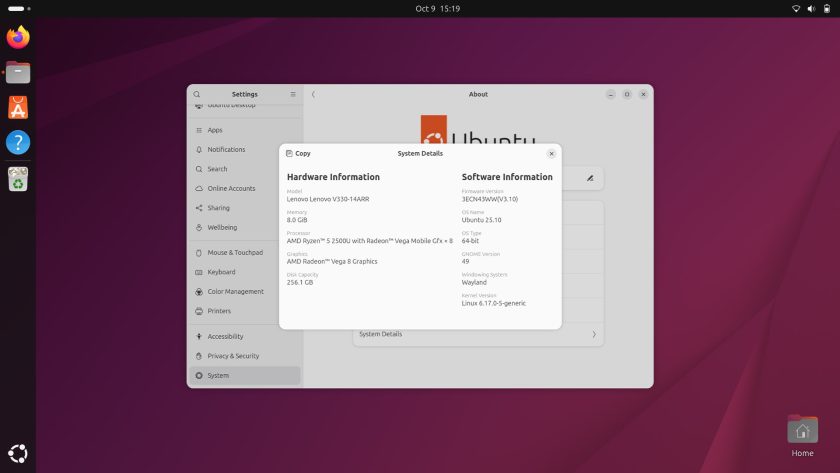 System Details dialog in a screenshot of the Ubuntu 25.10 desktop.
