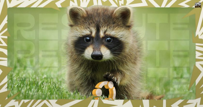 A small raccoon holds its paw over the Ubuntu logo.