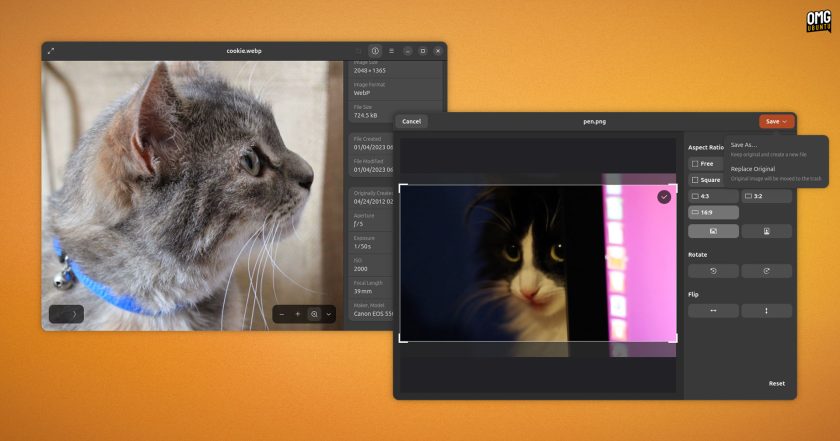Two image viewer windows open showing cat photos with the rear one showing image info and the foreground showing a crop UI.